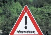 Helfer für Amphibienschutz gesucht!