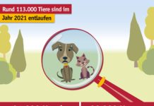 TASSOs Jahresstatistik ist das beste Argument für eine Kennzeichnung und Registrierung von Hunden und Katzen