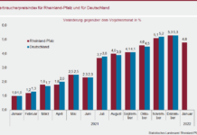 Teuerungsrate im Januar weiterhin auf hohem Niveau