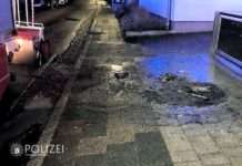 Mülltonne abgebrannt – Zeugen gesucht!