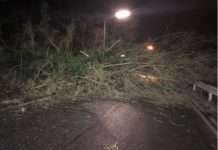 Umgefallener Baum blockiert Fahrbahn und Bahngleise