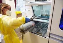 Westpfalz-Klinikum : Automatisierte Test-Analyse entlastet Labor-Personal