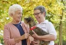 Engagierte mit Hund und Herz gesucht