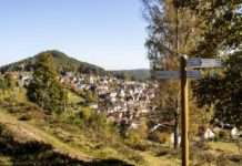 Neukonzeption des touristischen Wanderwegenetzes für das Gebiet des Biosphärenreservats Pfälzerwald