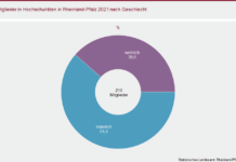 Frauenanteil in Hochschulräten auf Vorjahresniveau
