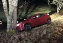 Schwerer Unfall durch Wildwechsel – Fahrer erlitt schwere Verletzungen