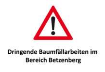 Dringende Baumfällarbeiten im Bereich Betzenberg