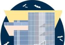 Schutz der Nacht – Hoffnung für Mensch und Natur