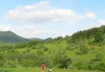Veranstaltungen rund ums Streuobst: Für die Streuobstwiesen im Biosphärenreservat Pfälzerwald