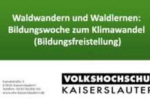 Waldwandern und Waldlernen: Bildungswoche zum Klimawandel (Bildungsfreistellung)