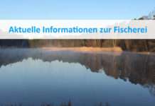 Aktuelle Informationen zur Fischerei – Schonzeiten und Mindestmaße laut Landesfischereiordnung