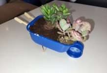 Drei Projekte aus RLP nehmen am Bundeswettbewerb AzuKlim teil