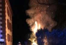 Brand eines Müllcontainers – Zeugen gesucht!