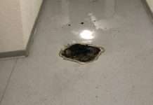 Mehrfamilienhaus in der Forellenstraße – Brand im Treppenhaus