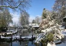 Der Japanischegarten bleibt heute geschlossen – Impressionen im Schnee…