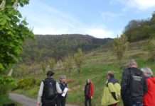 Die deutschen Biosphären sind verrückt. Verrückt auf morgen