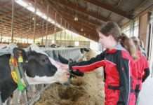 Erlebnisreicher Lernort Bauernhof – Vierteiliger Lehrgang zur Bauernhofpädagogik im Hofgut Neumühle