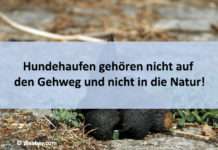 Hundehaufen gehören nicht auf den Gehweg und nicht in die Natur