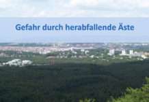 Gefahr durch herabfallende Äste – Wald und öffentliche Anlagen mit Baumbeständen möglichst meiden