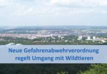 Füttern hat viele negative Folgen – Neue Gefahrenabwehrverordnung regelt Umgang mit Wildtieren