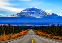 Online-Lesung: „Paradise Blues – Reisen in die Natur und die Geschichte der USA“