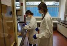 MINT-EC-Camp „Chemie rund ums Auto“: Experimente mit Kunststoffen