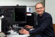 Warum altern Zellen? Kaiserslauterer Professor erhält 2,35 Millionen Euro EU-Förderung Dr Johannes Herrmann