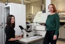 „Nature“-Studie: Tumorentstehung – Mechanismus entdeckt, der in Zellen mit vierfachem Chromosomensatz zu Mutationen führt