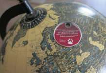 Kennzeichnung und Registrierung schützen Hunde und Katzen weltweit