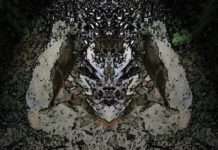 INNERE WELLEN – KUNST & WORT – Helge Ebling |comp:art|, amWebEnd 23.04.