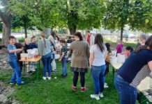 Bienen retten, Klima schützen – Projekt mit Schülerinnen und Schülern des Pfalzinstituts Frankenthal