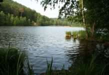 Gelterswoog bleibt beliebtes Ausflugsziel Wasserqualität ist einwandfrei,