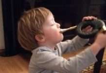 „ Stars von morgen“ – Konzert der Pfälzischen Musikgesellschaft