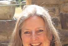 Stressfallen aufdecken – Gelassenheit finden: Outdoor-Seminar für Frauen in der Pfalzakademie