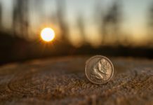 75 Jahre Bundesland Rheinland-Pfalz – forstliche Richtlinie