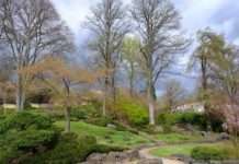 Neu im Japanischen Garten: Waldbaden