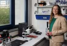 Mikroantriebe basierend auf Licht und Wärme: 1,9 Mio. Euro Förderung für Arbeit von TUK-Forscherin Clarissa Schönecker