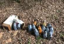 Altöl illegal entsorgt – Zeugen gesucht!