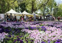 Stadtteilfest der Innenstadt West im Stadtpark am 16. Juli
