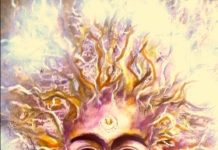 Silent Faces: Malerei u. Zeichnungen von Sabine Sudha Massing