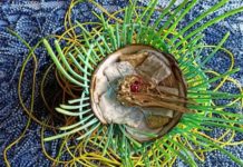 Kunstprojekt „Die Vertreibung aus dem Paradies“