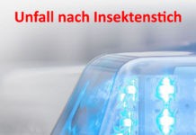 Unfall nach Insektenstich – Zweiradfahrer musste ins Krankenhaus