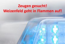 Weizenfeld geht in Flammen auf – Zeugen gesucht!