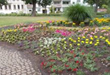 Lieferengpässe stellten Stadtbildpflege vor große Herausforderung