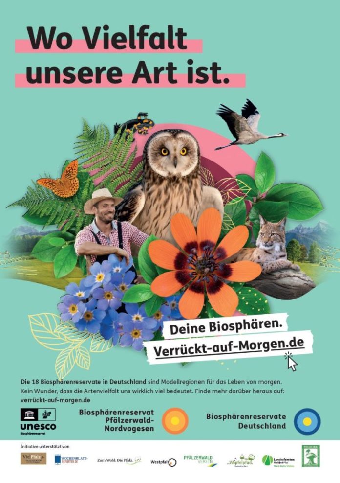 Verrückt auf Morgen_Kampagnenmotiv Biodiversität