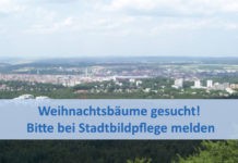 Weihnachtsbäume gesucht! Bitte bei Stadtbildpflege melden
