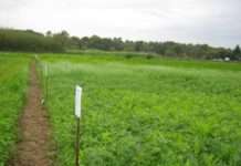 LUFA-Versuchsfeld und BOLAP – Landwirtschaftsausschuss trifft sich auf dem Rinkenbergerhof bei Speyer