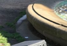 Herrenloser Koffer löst Polizeieinsatz aus