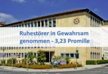 Ruhestörer in Gewahrsam genommen – 3,23 Promille
