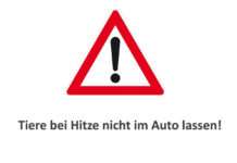 Tiere bei Hitze nicht im Auto lassen!